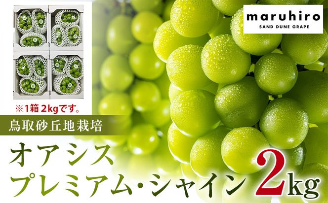 542.【先行予約】オアシス・プレミアム・シャイン 2kg（鳥取砂丘地栽培） ｜ シャインマスカット 葡萄 ぶどう 産地直送 フルーツ 果物 甘い 人気 ※2026年8月下旬頃～10月下旬頃に順次発送 313726_BF001