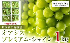 563.【先行予約】オアシス・プレミアム・シャイン 1kg（鳥取砂丘地栽培）｜ シャインマスカット 葡萄 ぶどう 産地直送 フルーツ 果物 甘い 人気 ※2026年8月下旬頃～10月下旬頃に順次発送 313726_BF002