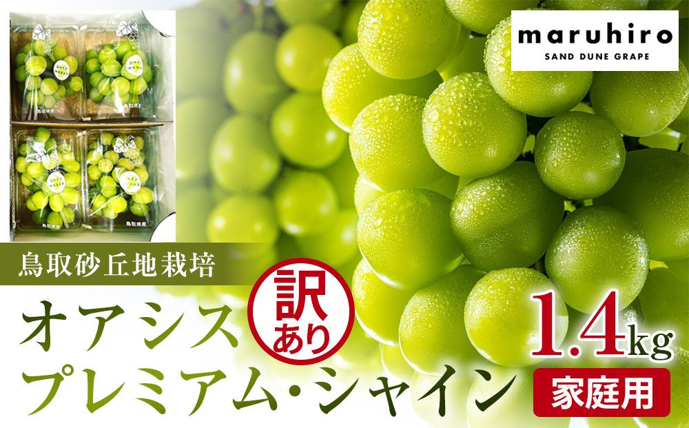915.シャインマスカットシャインマスカット 訳あり 家庭用 鳥取砂丘地産 1.4kg(350g×4パック) ※離島への配送不可 ※2025年8月下旬〜10月下旬頃に順次発送予定 313726