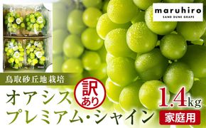 915.【先行予約】シャインマスカット 訳あり 家庭用 鳥取砂丘地産 1.4kg（350g×4パック） ※離島への配送不可 ※2026年8月下旬～10月下旬頃に順次発送予定 313726_BF009