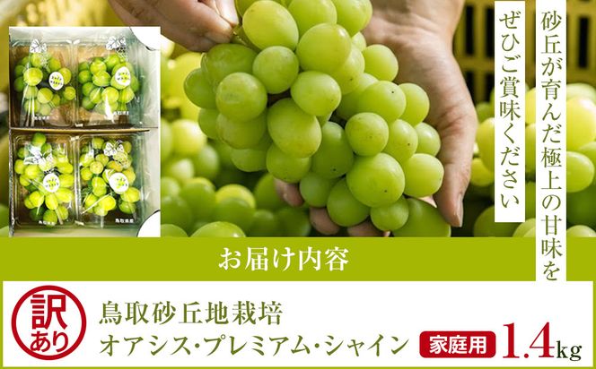 915.【先行予約】シャインマスカットシャインマスカット 訳あり 家庭用 鳥取砂丘地産 1.4kg（350g×4パック） ※離島への配送不可 ※2026年8月下旬～10月下旬頃に順次発送予定 313726_BF009