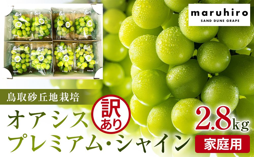914.[先行予約]シャインマスカット 訳あり 家庭用 鳥取砂丘地産 2.8kg(350g×8パック) ※離島への配送不可 ※2026年8月下旬頃〜10月下旬頃に順次発送 313726