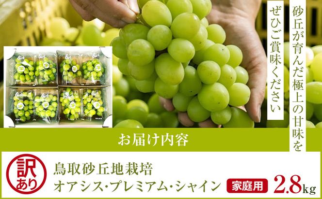 914.【先行予約】シャインマスカット 訳あり 家庭用 鳥取砂丘地産 2.8kg（350g×8パック） ※離島への配送不可 ※2026年8月下旬頃～10月下旬頃に順次発送 313726_BF010