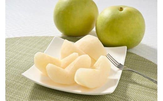 610.【先行予約】【家庭用】二十世紀梨 5kg前後 (10個～16個前後) 鳥取県産 梨 なし※着日指定不可※2026年8月下旬～9月中旬頃に順次発送予定 313726_BJ001