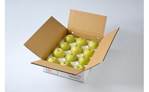 610.【先行予約】【家庭用】二十世紀梨 5kg前後 (10個～16個前後) 鳥取県産 梨 なし※着日指定不可※2026年8月下旬～9月中旬頃に順次発送予定 313726_BJ001