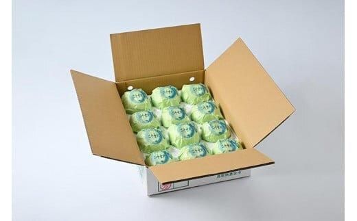 609.【先行予約】【贈答用】 二十世紀梨 5kg前後 (10個～14個前後) 鳥取県産 梨 なし※着日指定不可※2026年8月下旬～9月中旬頃に順次発送予定 313726_BJ002