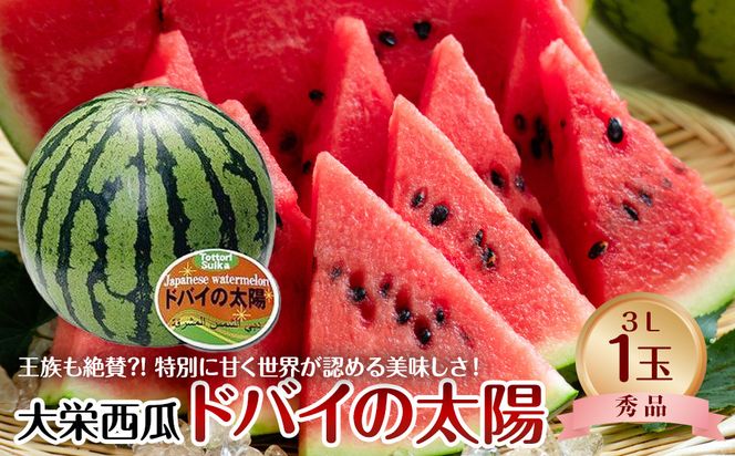 732.【先行予約】【ＪＡ】大栄西瓜「ドバイの太陽」秀3Ｌ×1玉　※着日指定不可 ※離島への配送不可 ※2026年6月中旬頃～7月中旬頃に順次発送予定 313726_BN001