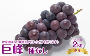 738.【先行予約】【ＪＡ】　巨峰（種なし）赤秀2kg箱（3～5房入）　※着日指定不可　※離島への配送不可　※2026年8月初旬頃～8月中旬頃に順次発送予定 313726_BN005