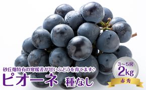737.【先行予約】【ＪＡ】　ピオーネ（種なし）赤秀2kg箱（3～5房入）　※着日指定不可　※離島への配送不可　※2026年8月初旬頃～8月下旬頃に順次発送予定 313726_BN006