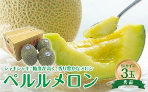 740.【先行予約】【JA】ペルルメロン　秀5L×3玉 ※離島への配送不可 ※2026年6月初旬頃～7月初旬頃に順次発送予定 313726_BN008