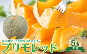 739.【先行予約】【ＪＡ】大栄メロン　プリモレッド（赤肉）赤秀3Ｌ×5玉　※着日指定不可　※離島への配送不可　※2026年9月末頃～10月下旬頃に順次発送予定 313726_BN009