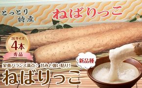 742.【ＪＡ】ねばりっこ　秀3Ｌ×4本　※着日指定不可　※離島への配送不可　※順次発送予定 313726_BN010