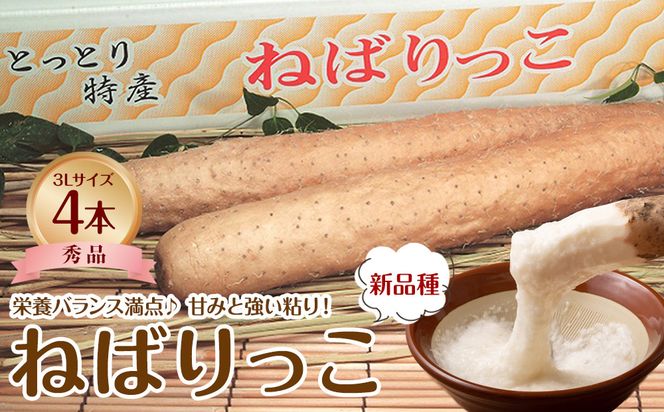 742.【ＪＡ】ねばりっこ　秀3Ｌ×4本　※着日指定不可　※離島への配送不可　※順次発送予定 313726_BN010