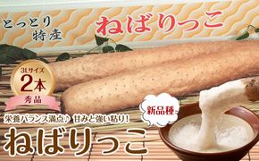 744.【ＪＡ】ねばりっこ　秀3Ｌ×2本　※着日指定不可　※離島への配送不可　※順次発送予定 313726_BN011