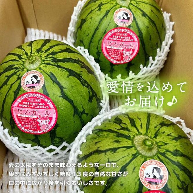 【先行予約】797.小玉スイカ　ピノ・ガール（1玉3kg前後×3玉）◇離島不可（北海道、沖縄本島は配送可能）◇2026年6月上旬頃～7月上旬頃に順次発送予定 313726_BQ001