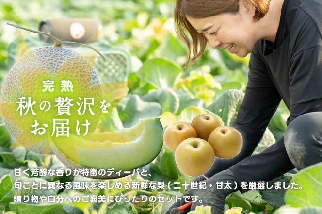 【先行予約】924.【ふるさと納税】【青肉系メロン】ディーバ（メロン）と旬の梨セット※離島への配送不可（北海道、沖縄本島は配送可能） 313726_BQ002