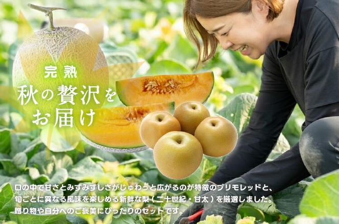 【先行予約】925.【ふるさと納税】【赤肉系メロン】プリモレッド (メロン) と旬の梨セット※離島への配送不可（北海道、沖縄本島は配送可能） 313726_BQ003