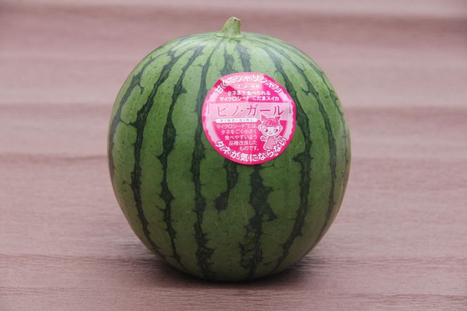 y挧khzys\z798.킲ƐHׂIʃXCJysmEK[z2ʁi12kgO×2ʁjwsւ̔zs 313726_BQ007