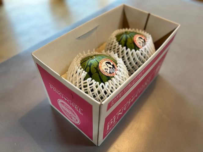 【先行予約】798.種ごと食べられる！小玉スイカ【ピノ・ガール】2玉（1玉2kg前後×2玉）※着日指定不可※離島への配送不可 313726_BQ007