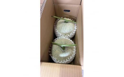 【先行予約】808.【赤肉系メロン】プリモレッド×２玉（1玉2kg前後×2玉）※離島への配送不可 313726_BQ008