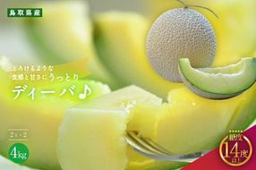 【先行予約】920.【青肉系メロン】ディーバ×２玉（1玉2kg前後×2玉）※離島への配送不可（北海道、沖縄本島は配送可能） 313726_BQ009