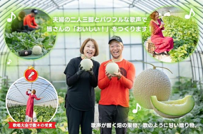 【先行予約】920.【青肉系メロン】ディーバ×２玉（1玉2kg前後×2玉）※離島への配送不可（北海道、沖縄本島は配送可能） 313726_BQ009