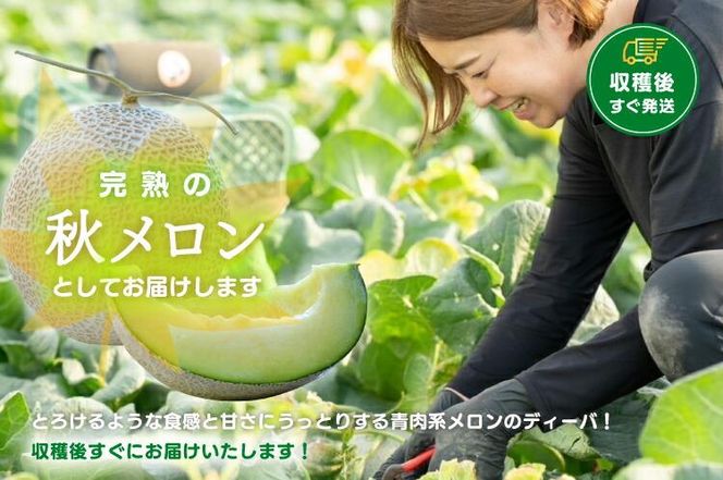 【先行予約】920.【青肉系メロン】ディーバ×２玉（1玉2kg前後×2玉）※離島への配送不可（北海道、沖縄本島は配送可能） 313726_BQ009