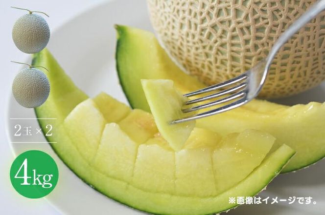 【先行予約】920.【青肉系メロン】ディーバ×２玉（1玉2kg前後×2玉）※離島への配送不可（北海道、沖縄本島は配送可能） 313726_BQ009