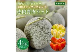 【先行予約】956.【ふるさと納税】青肉メロンディーバと赤肉メロンプリモレッドのセット ※日本全国配送可能  2026年10月上旬頃～11月上旬頃に順次発送予定 313726_BQ012