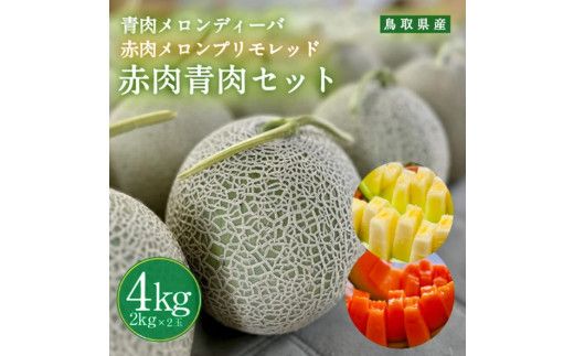 y挧khzys\z956.yӂ邳Ɣ[ŁzfB[oƐԓvbh̃Zbg {Sz\  2026N10{`11{ɏ\ 313726_BQ012