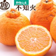 ［先行予約］厳選 不知火2.5kg+250g（傷み補償分）［デコポンと同品種・人気の春みかん］［IKE123］ 303446_BB011