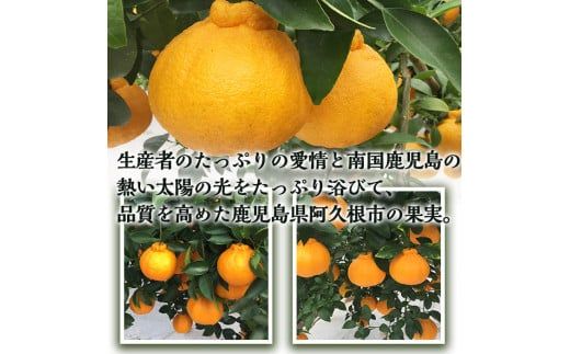 yvszs\tI2026N3ȍ~\聄YIInfR|(5kgE15`24) ʕ ~ t k ݂  t[c Ԍ ʌyݔ_Ƌgzakn018-10