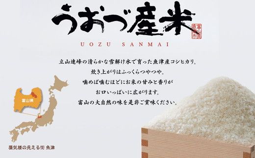 【令和7年度米】【6ヶ月定期便】 富山県 うおづ産米「コシヒカリ」20kg（5kg×4袋）（精米）｜6ヶ月定期便 6回 6ヶ月 こしひかり こめ コメ お米 おこめ 白米 精米 雪解け水 香り うまみ あまみ 冷めても 美味しい おにぎり お弁当 高品質 魚津市 ※北海道・沖縄・離島への配送不可