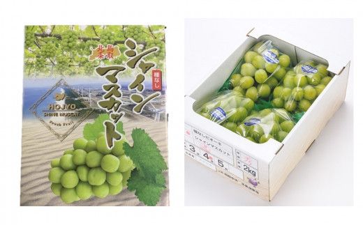 736.【先行予約】【ＪＡ】　シャインマスカット　赤秀2kg箱（3～5房入）　※着日指定不可　※離島への配送不可　※2026年9月初旬頃～9月中旬頃に順次発送予定 313726_BN007