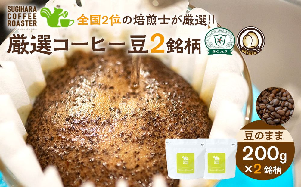 厳選珈琲豆 200g×2銘柄(豆のまま) 272230_BD001VC01