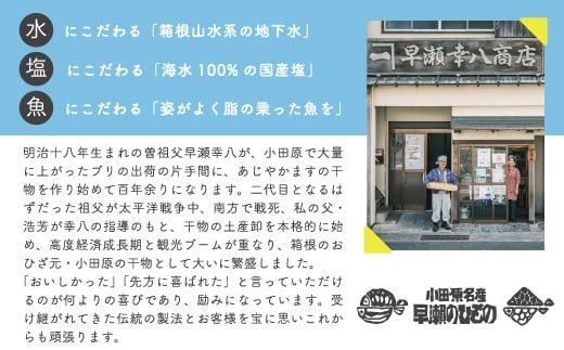 干物 なんと！焼いてありますセット【惣菜 魚 干物 ひもの お取り寄せ 御中元 お中元 お歳暮 父の日 母の日 贈り物 家庭用 自宅用 贈答品 贈答用 ギフト 定番 朝食 朝ごはん 神奈川県 小田原市 】 142069_AC001