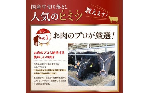 国産牛切落とし1ｋｇ（500ｇ×2）【牛肉 国産 お肉 神奈川県 小田原市 】 142069_AG026