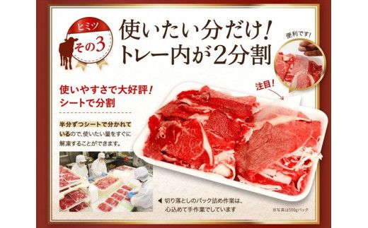国産牛切落とし1ｋｇ（500ｇ×2）【牛肉 国産 お肉 神奈川県 小田原市 】 142069_AG026