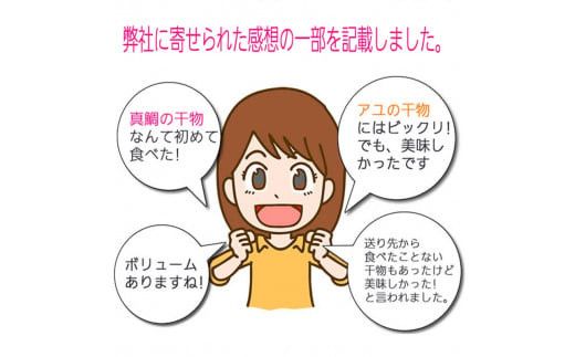 おまかせ干物セット 3倍セット【惣菜 魚 干物 ひもの お取り寄せ 御中元 お中元 お歳暮 父の日 母の日 贈り物 家庭用 自宅用 贈答品 贈答用 ギフト 定番 神奈川県 小田原市 】 142069_AM002