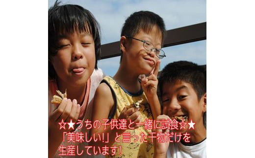 おまかせ干物セット 3倍セット【惣菜 魚 干物 ひもの お取り寄せ 御中元 お中元 お歳暮 父の日 母の日 贈り物 家庭用 自宅用 贈答品 贈答用 ギフト 定番 神奈川県 小田原市 】 142069_AM002