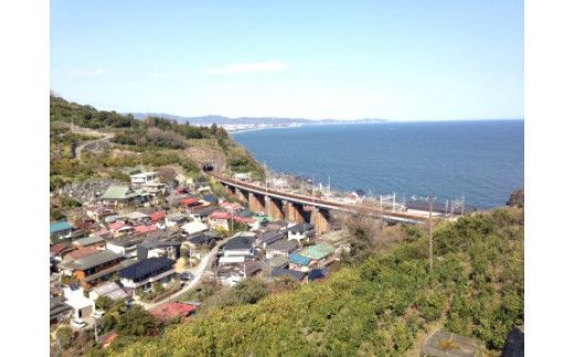 気軽に水中散歩！スノーケリング＆体験ダイビング【1回】【シュノーケリング レンタル ダイビングスクール 送迎付き スノーケリング＆体験ダイビング招待券　1名様分 小田原の海 魚 体験ダイビング 神奈川県 小田原市 】 142069_AQ003