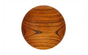 漆 仁取皿 (ニトリ皿) ケヤキΦ24cm　【お皿 グッドデザイン賞受賞 木 雑貨 食器 プレゼント おしゃれ 日本製 神奈川県小田原市】 142069_AR030