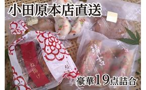 鰯揚げ てどり揚げ 彩しんじょ てこね揚げ 紅生姜棒【創業244年小田原蒲鉾発祥の店　鱗吉】【19枚】老舗の練り物5種セット【惣菜 おかず 家庭用 自宅用 贈答品 贈答用  おでん 手造り 神奈川県 小田原市 】のかまぼこ　 こだわり製法 食感のいい蒲鉾 神奈川県 小田原市 】 142069_AT004