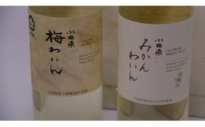 城下町小田原の飲み比べわいんBセット（2本セット) 142069_AX002