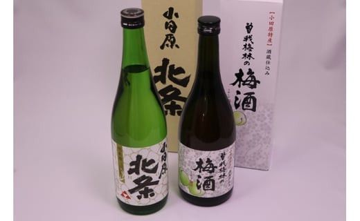小田原のめぐみ。北条純米酒と曽我梅酒2本セット 142069_AX006