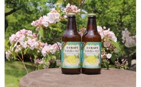 小田原レモンクラフトチューハイ　48本セット 142069_AX008