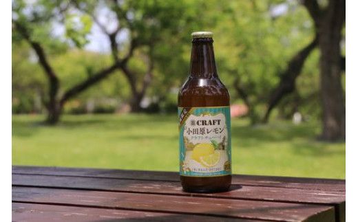 小田原レモンクラフトチューハイ　24本セット 142069_AX010