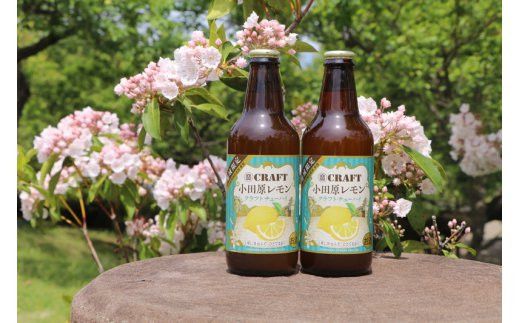 y_ސ쌧cszcNtg`[nC@12{Zbg 142069_AX012