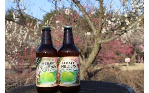 y_ސ쌧cszc߃Ntg`[nC@12{Zbg 142069_AX017