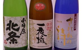 厳選！城下町小田原の日本酒３本セット【日本酒３本セット 小田原の日本酒 小田原産米100%使用 純米酒 吟醸生貯蔵酒さがみの詩 上撰一夜城 小田原北条純米酒 丹沢山系の伏流水 柔らかな口当たり 神奈川県 小田原市 】 142069_AX018